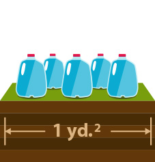 Watering Tip 3