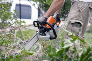 Certified Treecare Safety Professional (CTSP) Certification