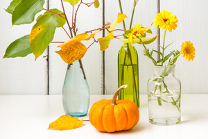 autumnal leaves and flowers in-vases