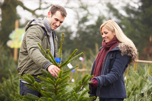 couple choosing a Christmas tree