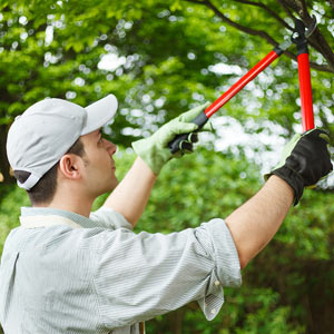 Man Cutting Branch