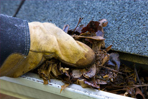 gloved hand cleaning out gutter