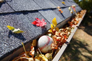 gutter full of leaves and baseball