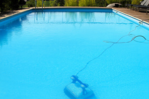 Should the cleaning robot be removed before swimming? We rented an Airbnb,  and our host didn't remove the pool robot. She left it in the whole time we  were here. : r/pools