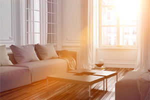 Sunlit Living Room