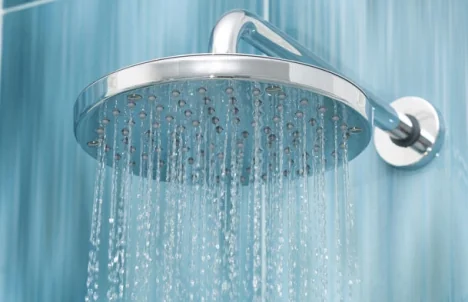 Tips to Prevent Plumbing Problems This Thanksgiving