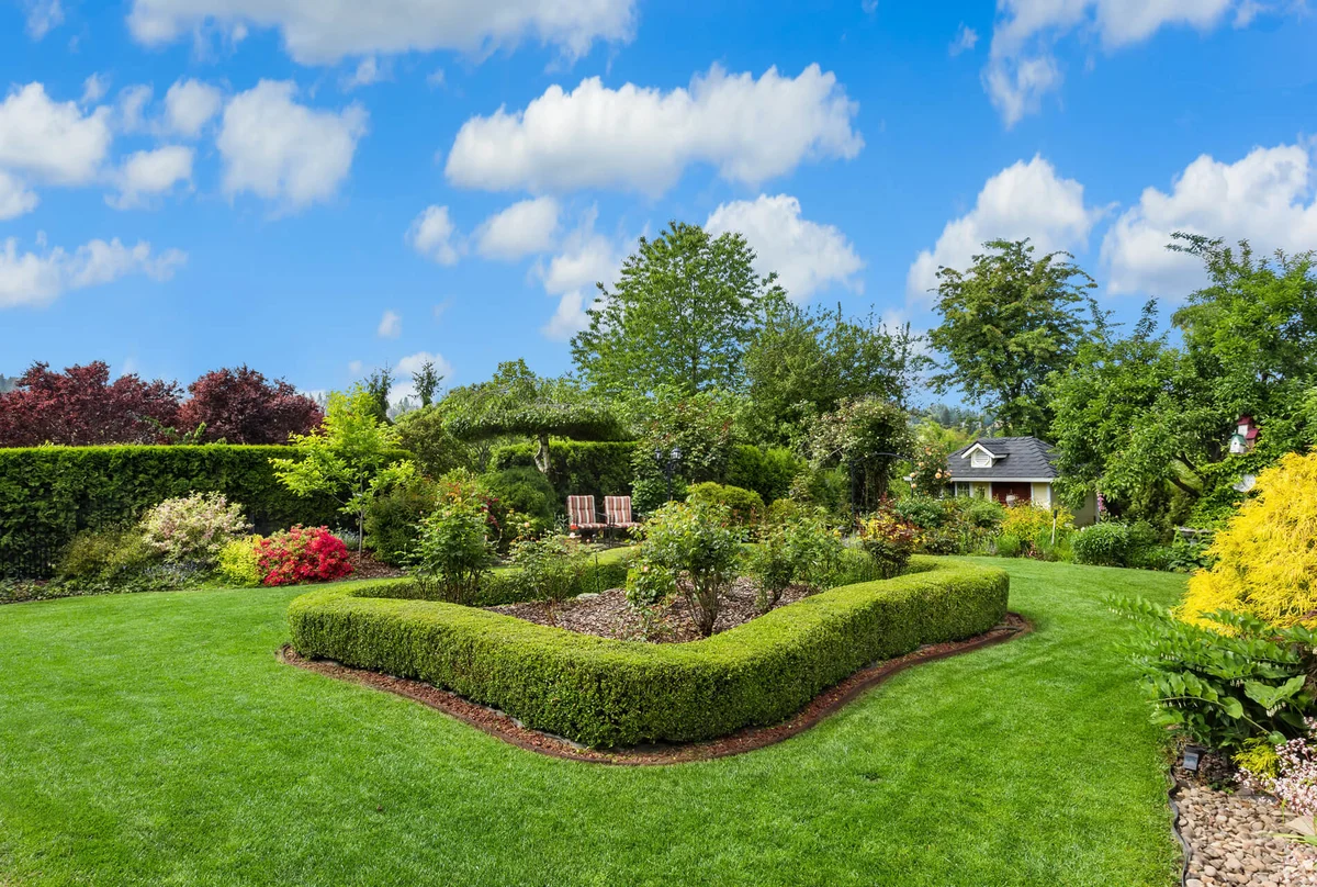 Lawn Treatment Services